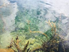 -丽江泸沽湖景区-里格半岛