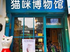 门面-猫咪博物馆(顶澳仔猫街店)