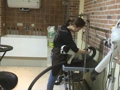 -Oh My Dog宠物沙龙(伊珊娜皮毛护理店)