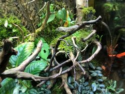 -酷嗒动物文化乐园(cutezoo西溪乐天城店)