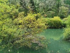 -叠溪松坪沟景区