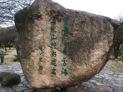 -香雪海