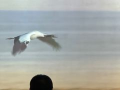 -中国湿地博物馆