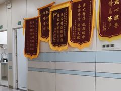 -中农国际动物医院24小时·猫科·骨科·急重症中心