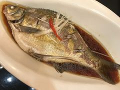 清蒸武昌鱼-亢龙太子酒轩(东湖店)