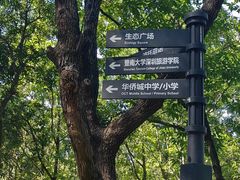 -燕晗山郊野公园