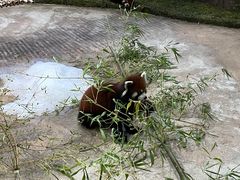 -海合安武汉极地海洋公园