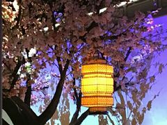 大堂-绿茶餐厅(昌平悦荟店)