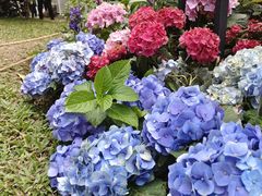 -人民公园(罗湖区)