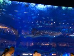 -成都浩海立方海洋公园