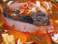 -大理.老字号渝记酸萝卜乌鱼(古城总店)