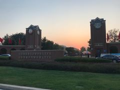 -山东鲁能乒乓球学校