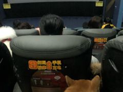 -幸福蓝海国际影城(崇安寺T12店)