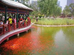 -西海子公园