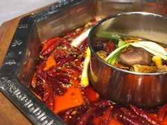 -蜀九香火锅(九眼桥店)