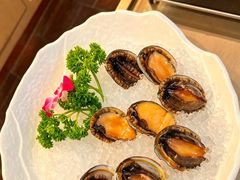 -纯味斑鱼府(中海环宇荟店)