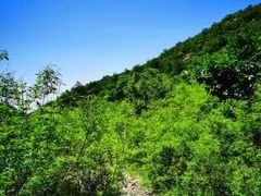-山东五莲大青山风景区