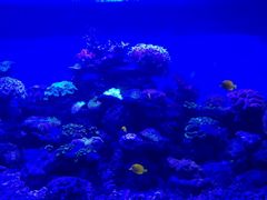 -北戴河圣蓝海洋公园