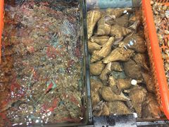 -天天海鲜城·海鲜大排档(新溪店)