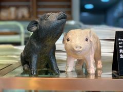 -WHEN PIGS FLY当猪飞
