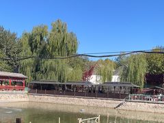 -尚庄度假村·庭台树下·户外烧烤·团建CS·轰趴营地(上庄水库店)