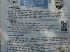 -青藏高原野生动物园
