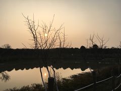 -武汉紫薇都市田园