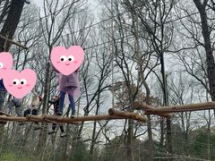 -WeLope紫金山探险公园