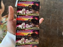 -清迈夜间动物园