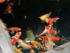-石涧故事·私房菜(紫云路店)