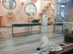 -BABIT巴比特宠物(MOMOPARK店)