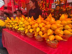 -越秀西湖花市(广州城市广场花卉店)