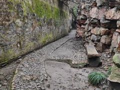 -绮园景区