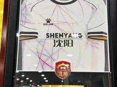 -白鹤大冷面