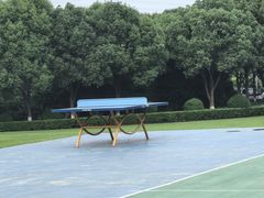 -羊山湖公园