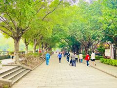 -黄埔古港