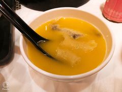 -鲜入围煮花胶鸡海鲜火锅