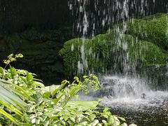 -广州白天鹅宾馆