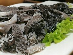 -掂档潮汕牛肉火锅(沈阳万象城店)