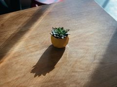 -Mesa Madre梅萨妈妈·Bintana(国贸店)