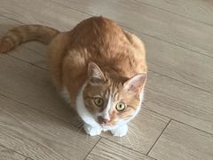 -小银星艺术团(河埒口校区)