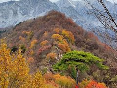 -秦岭终南山世界地质公园翠华山景区