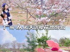 -天适樱花悠乐园