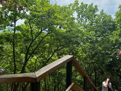-吉林市朱雀山国家森林公园