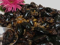 -寻味顺德·南记酒家·传统顺德菜·鱼生(广源路店)