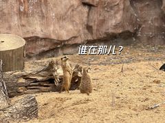 -武汉动物园
