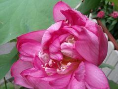 android_upload_pic-春暖花开(西溪店)