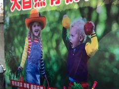 -大自然农场蔬菜草莓采摘园