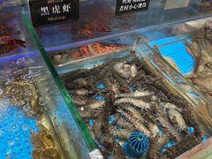 -加餐海鲜自助(宝龙一城店)
