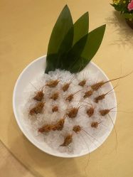 -虹桥迎宾馆·宴会厅